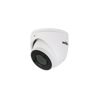 NVIP-2VE-6502M/F