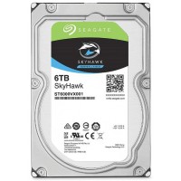 ST6000VX001